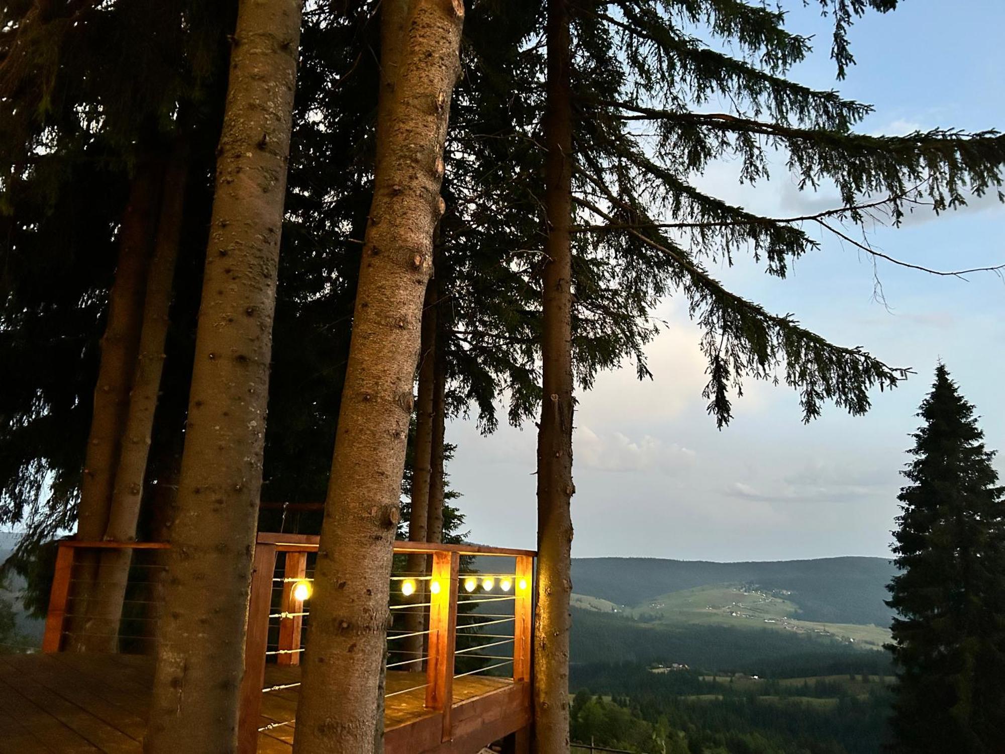Tiarra Mountain Lodge 贝里斯 外观 照片