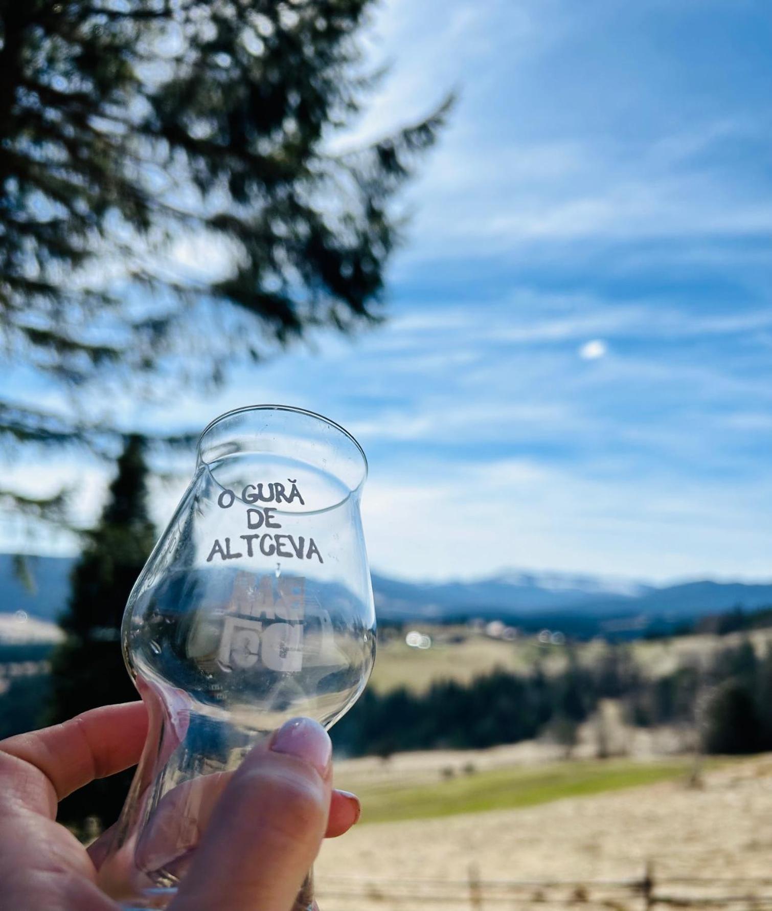 Tiarra Mountain Lodge 贝里斯 外观 照片